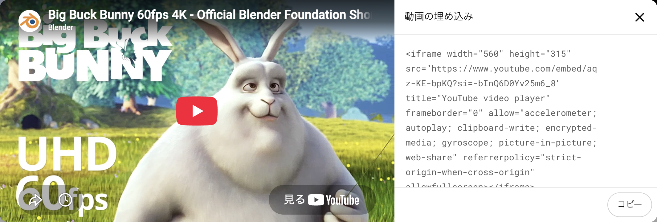動画の埋め込みダイアログ。iframeのコードとコピーボタンが並んでいる